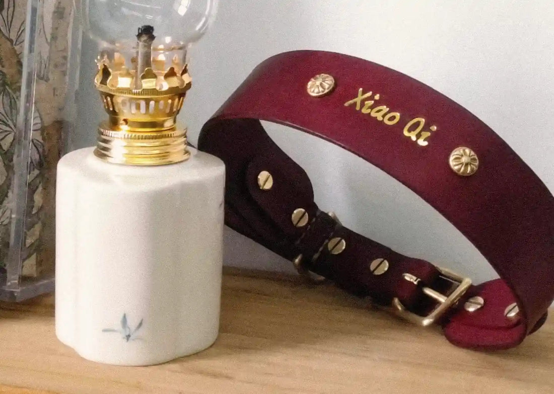 Au secours ! Mon chien a baigné son collier en cuir : Le guide de sauvetage de l'artisan