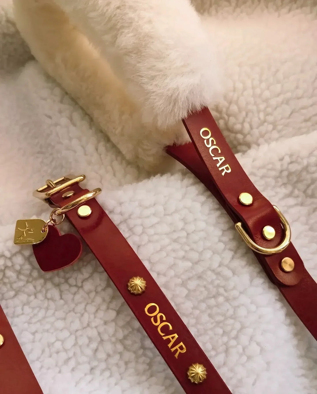 Pourquoi un Collier Cuir avec Fourrure Protège Vraiment Votre Chien en Hiver