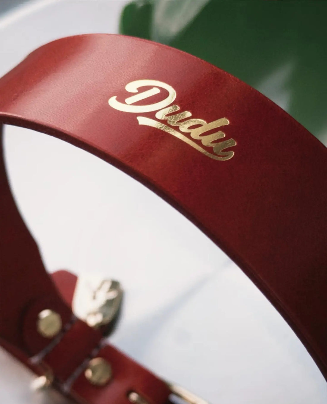 Personnalisation Collier Chien : Dorure à Chaud ou Gravure Laser