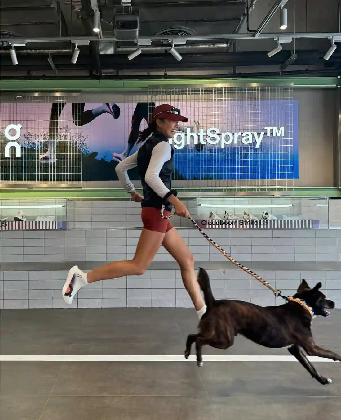 Comment faire maigrir son chien ? Guide complet pour le surpoids