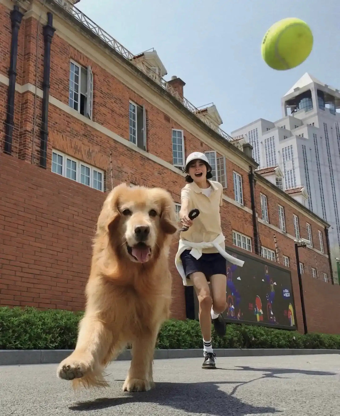 Promenade de Chien : Le Guide Ultime pour des Balades Stylées et Épanouissantes