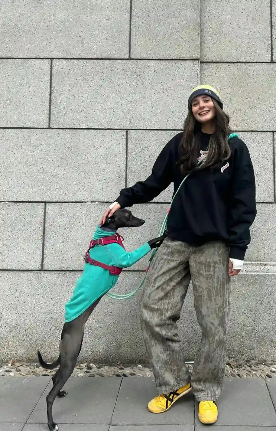 Votre Chien Tire en Laisse ? Comment le Collier en Cuir Artisanal Change Tout