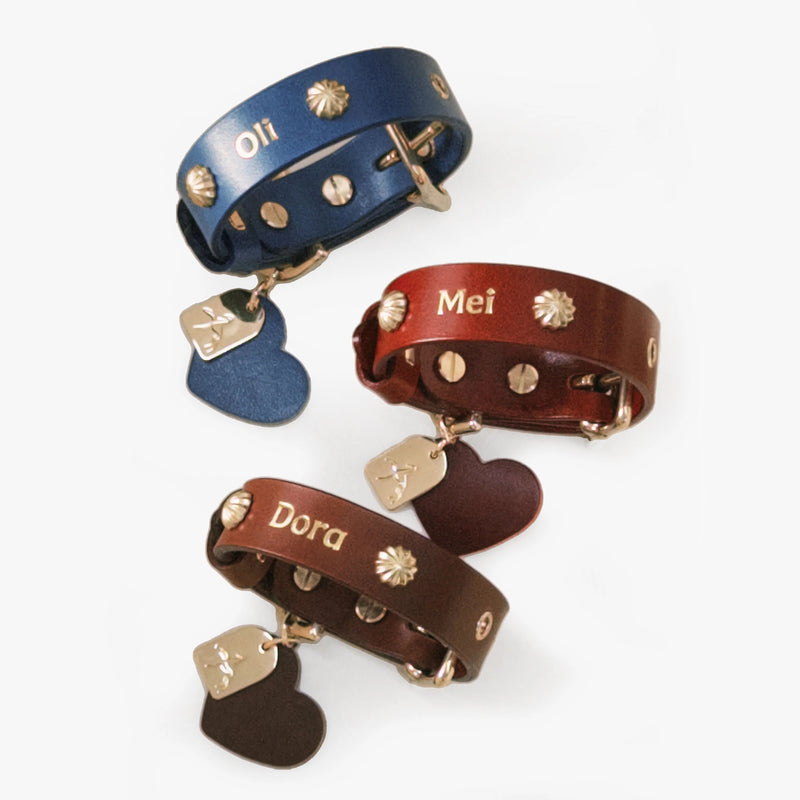 Trois colliers personnalisés en cuir bleu, marron et rouge avec gravure