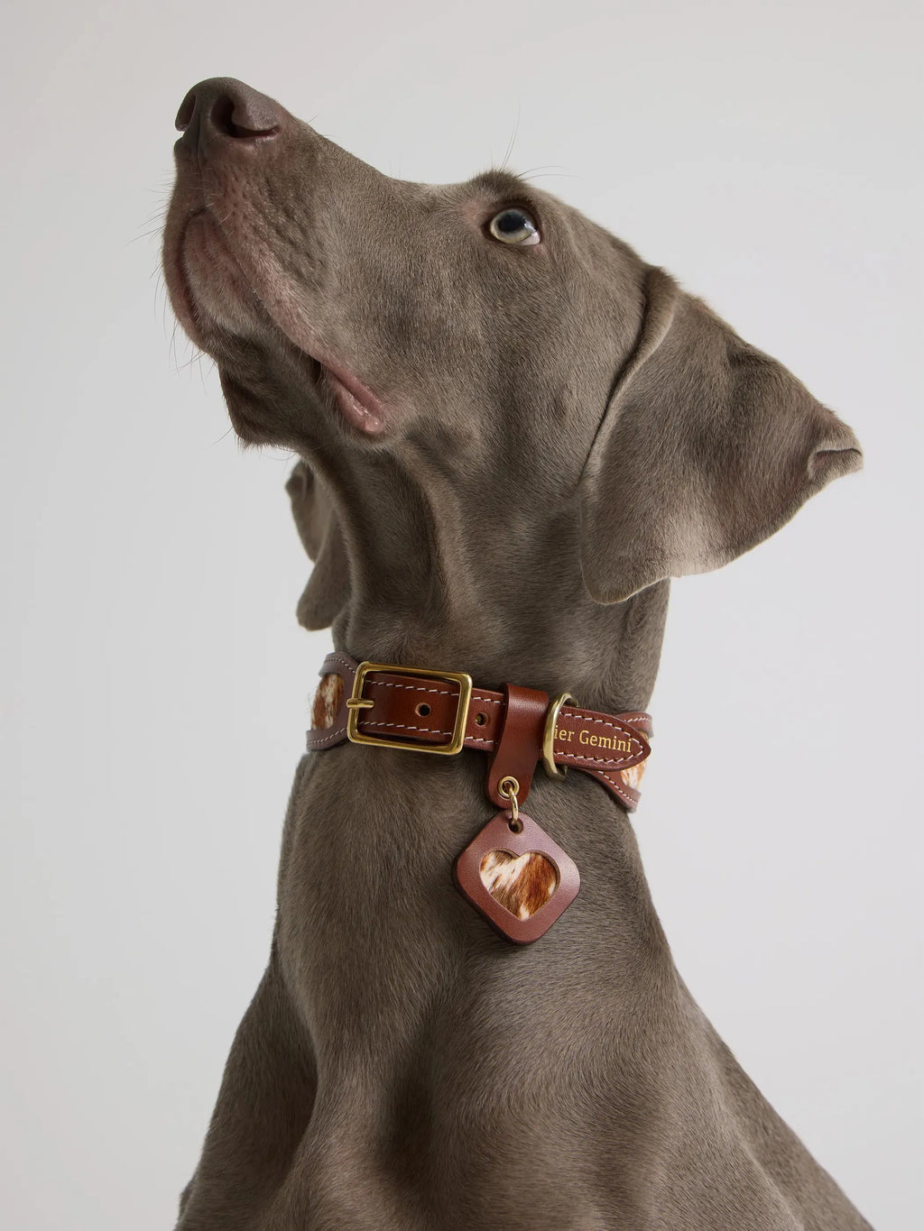 Collier Chien Cuir et Fourrure Cheval Naturelle