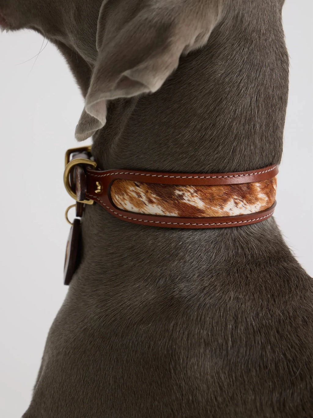 Collier Chien Cuir et Fourrure Cheval Naturelle