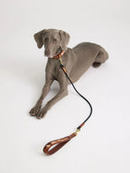 Collier Chien Cuir et Fourrure Cheval Naturelle