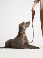 Collier Chien Cuir et Fourrure Cheval Naturelle