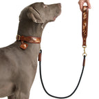 Collier Chien Cuir et Fourrure Cheval Naturelle