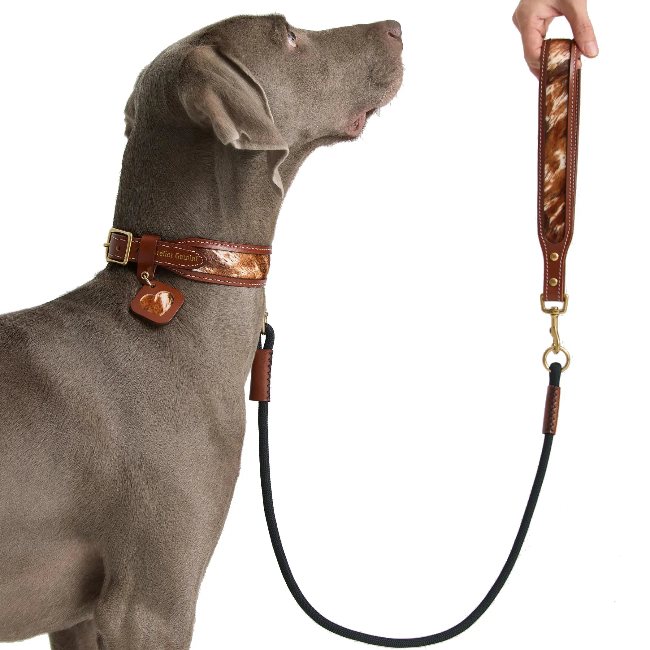 Collier Chien Cuir et Fourrure Cheval Naturelle