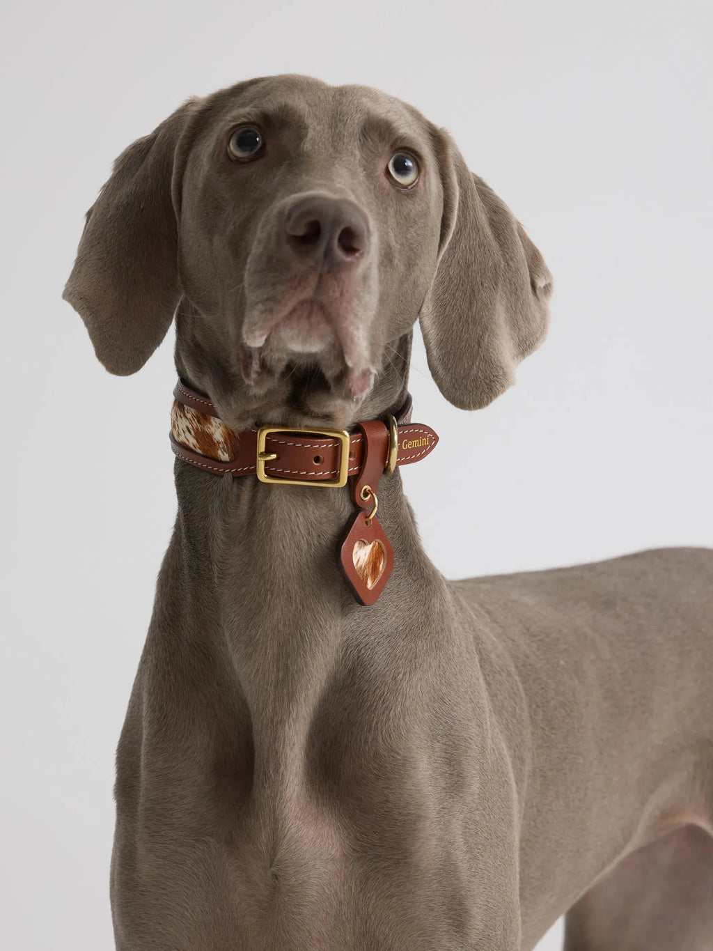 Collier Chien Cuir et Fourrure Cheval Naturelle