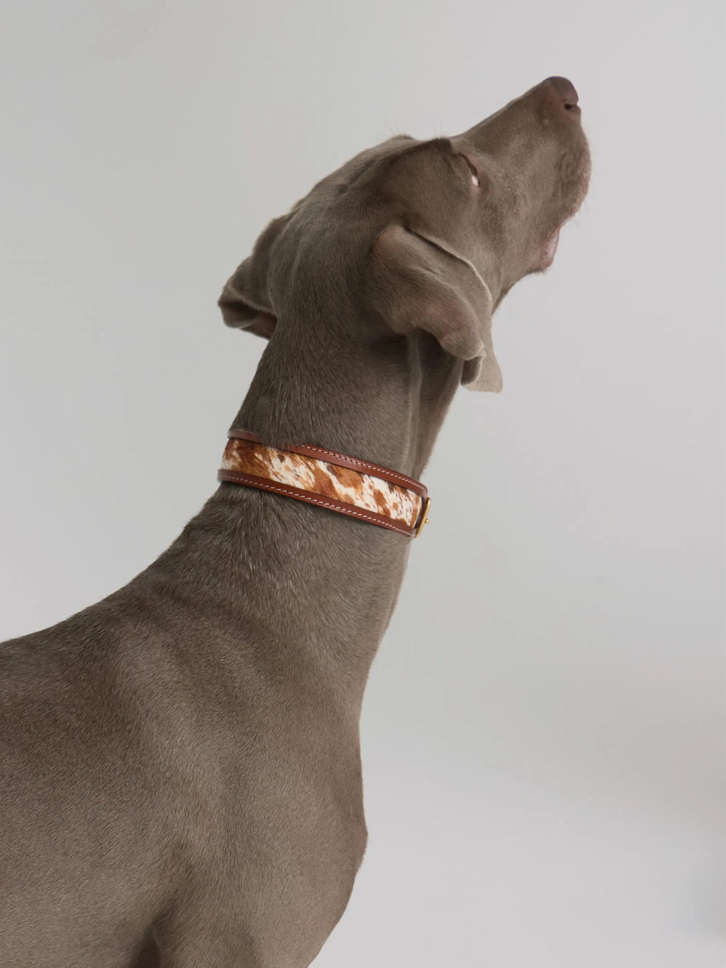 Collier Chien Cuir et Fourrure Cheval Naturelle