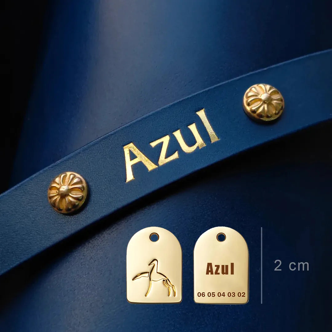 Collier pour chien perso en cuir bleu avec medaille