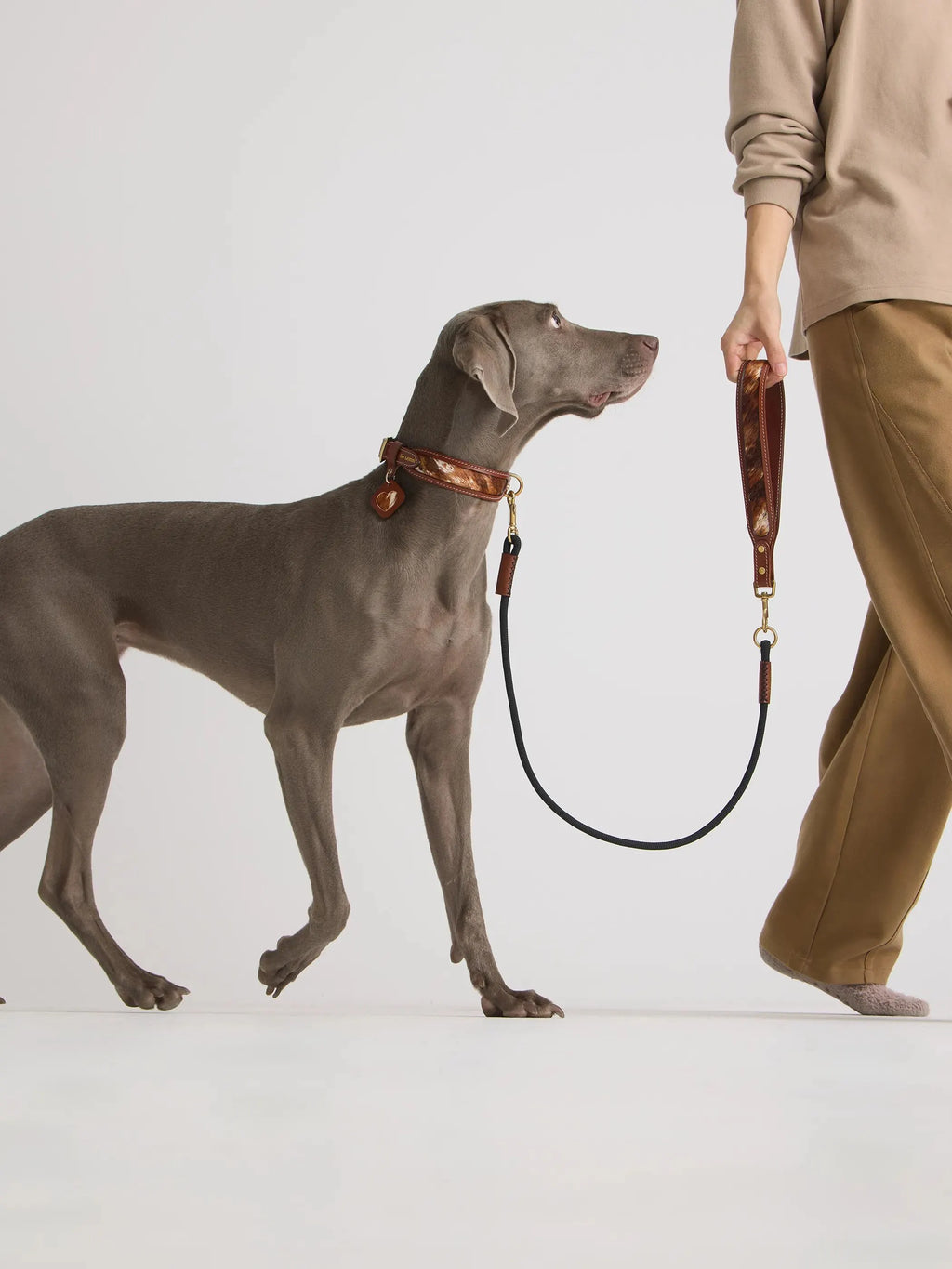 Collier Chien Cuir et Fourrure Cheval Naturelle