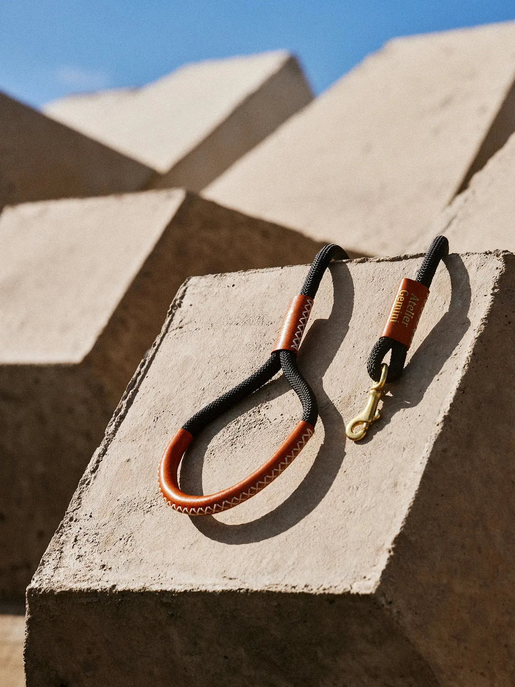 Laisse Chien Nylon Noir Cuir Caramel Tanné Végétal