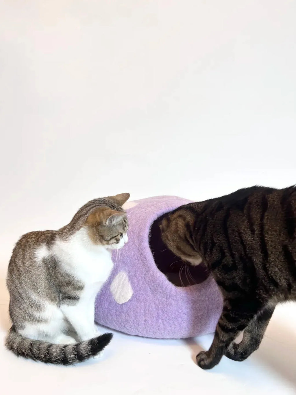 Niche Chat Feutre Laine Fait Main - Grotte Violette Mystique