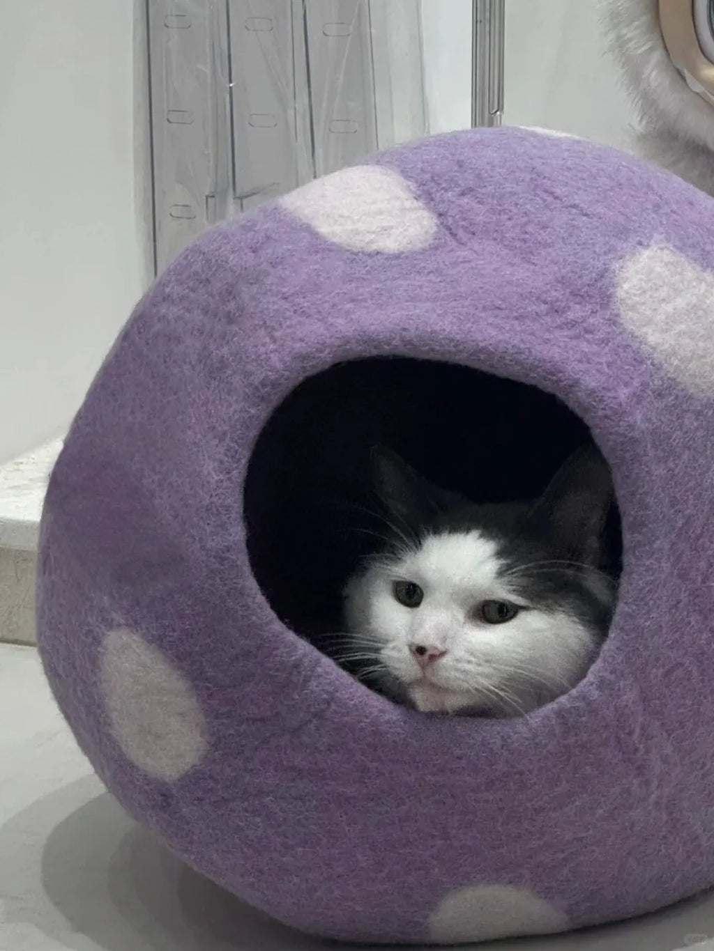 Niche Chat Feutre Laine Fait Main - Grotte Violette Mystique