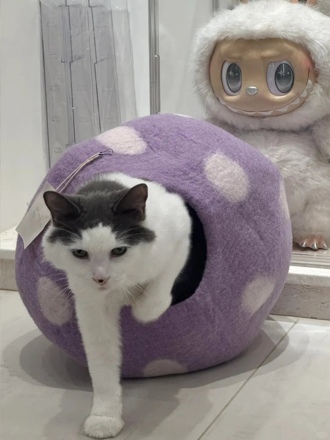 Niche Chat Feutre Laine Fait Main - Grotte Violette Mystique