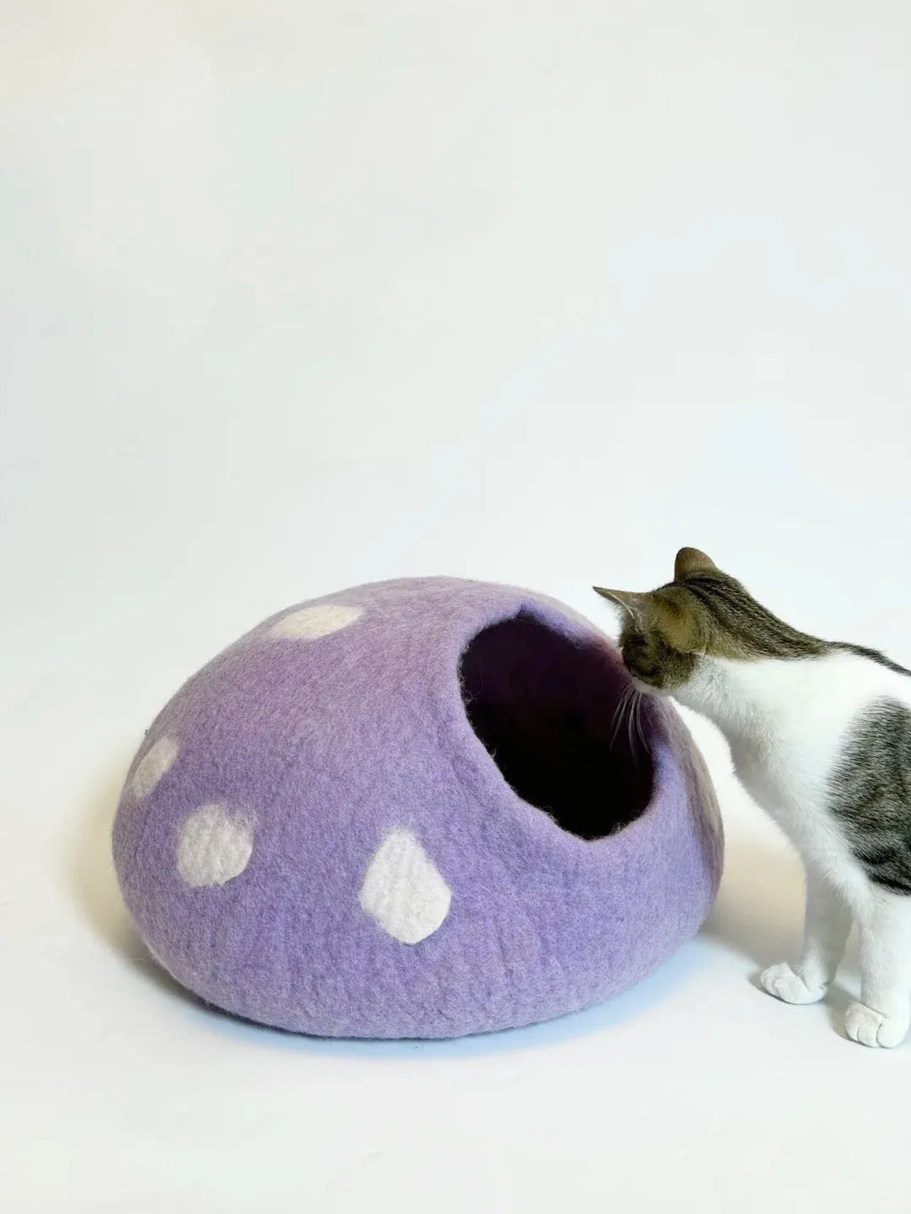 Niche Chat Feutre Laine Fait Main - Grotte Violette Mystique