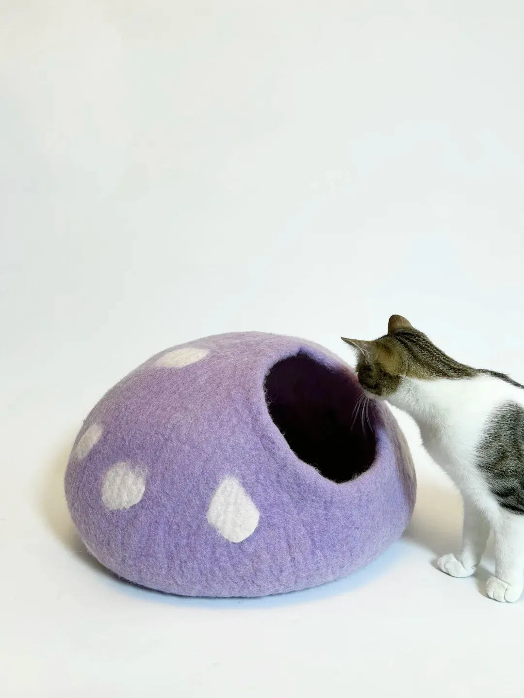 Niche Chat Feutre Laine Fait Main - Grotte Violette Mystique