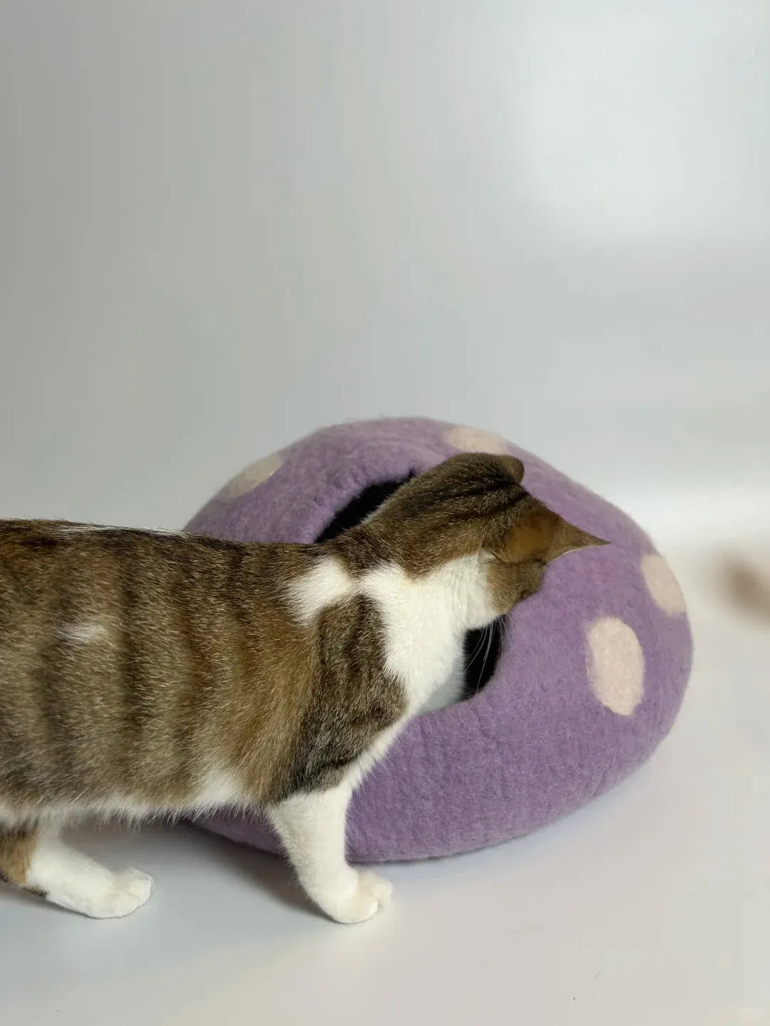 Niche Chat Feutre Laine Fait Main - Grotte Violette Mystique