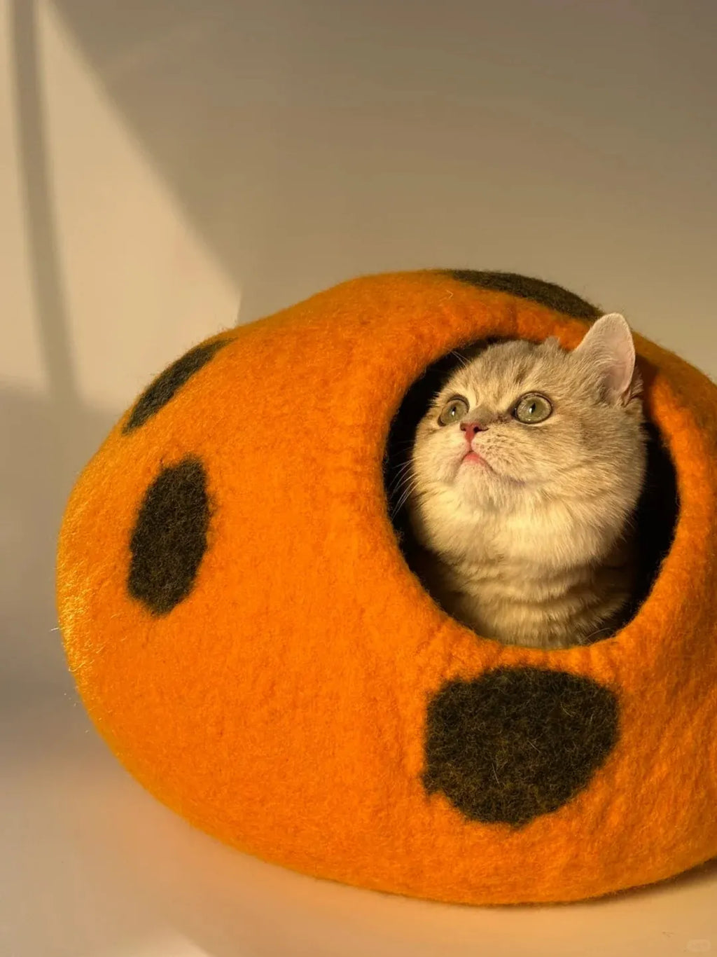 Niche Chat Feutre Laine Fait Main orange avec chat