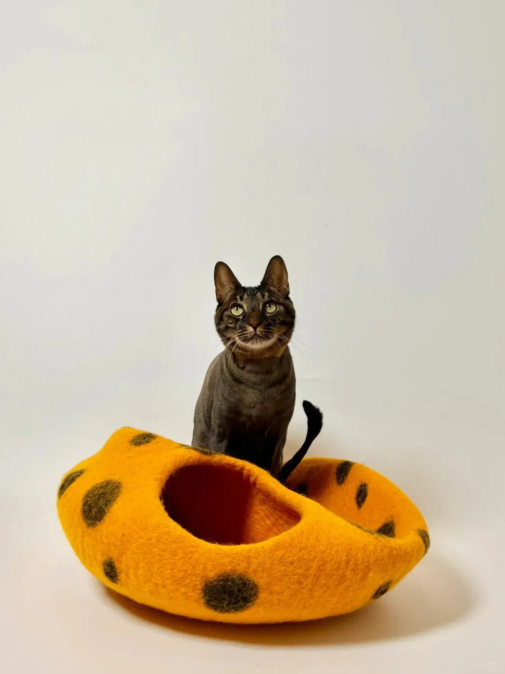 Niche Chat Feutre Laine Fait Main  orange lit