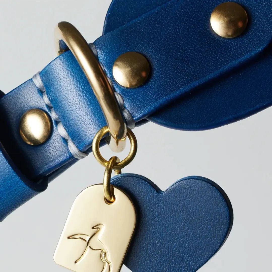 Bouclerie en laiton pour collier de chien