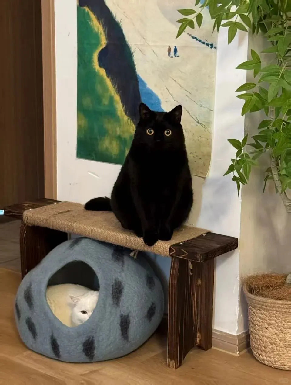 Niche Chat Feutre Laine Fait Main - Grotte Bleue Planète