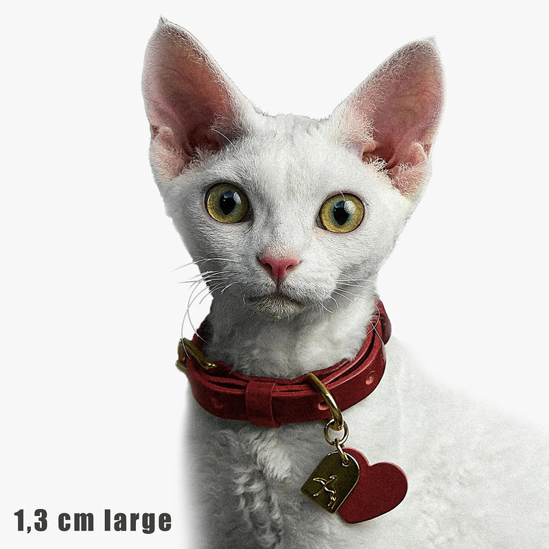 Chat avec collier rouge haut de gamme pour petit animal