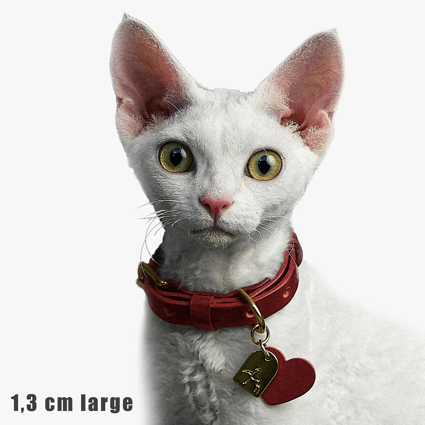 Petit Collier Pour Chien Personnalisé en Cuir