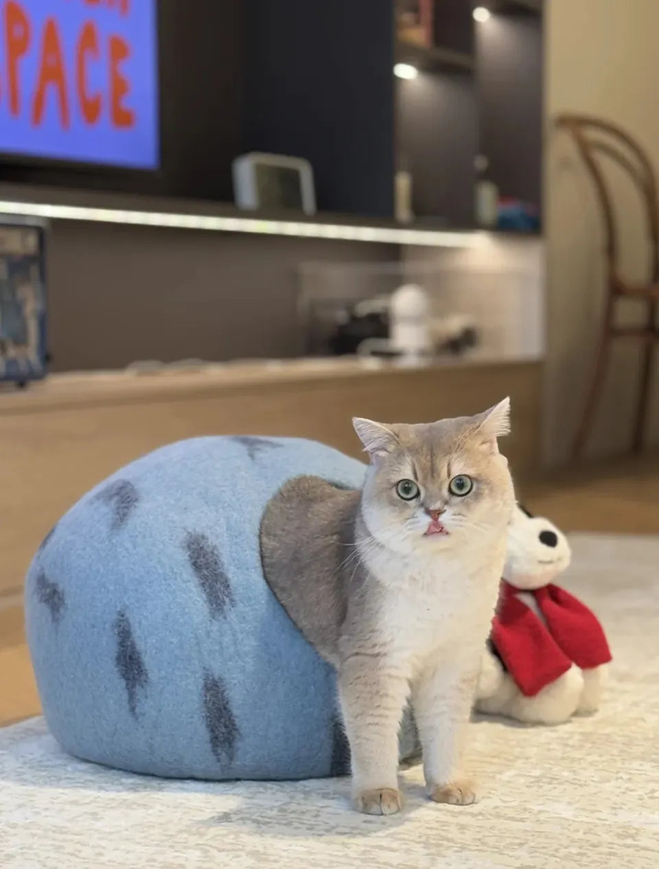 Niche Chat Feutre Laine Fait Main - Grotte Bleue Planète