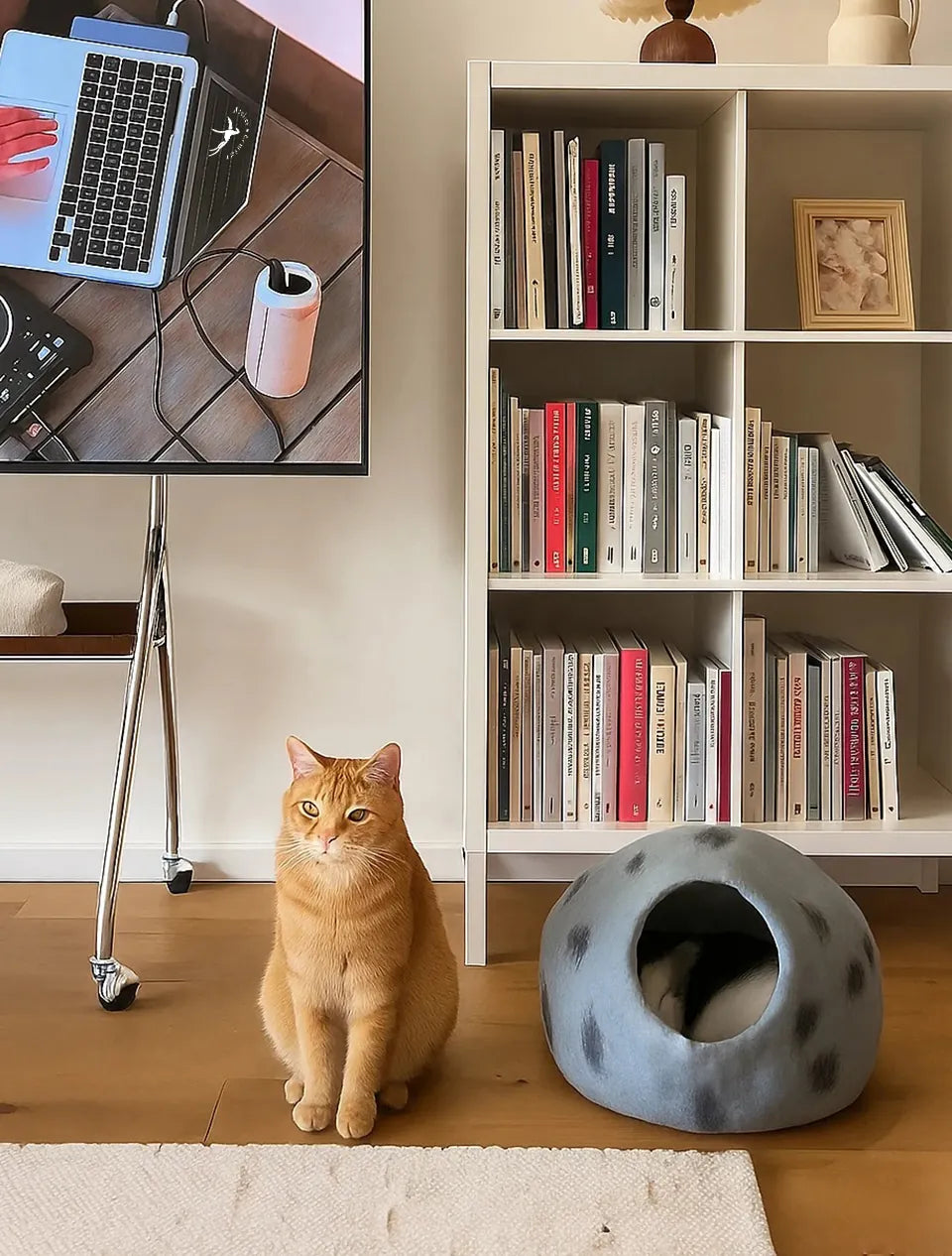 Niche Chat Feutre Laine Fait Main - Grotte Bleue Planète