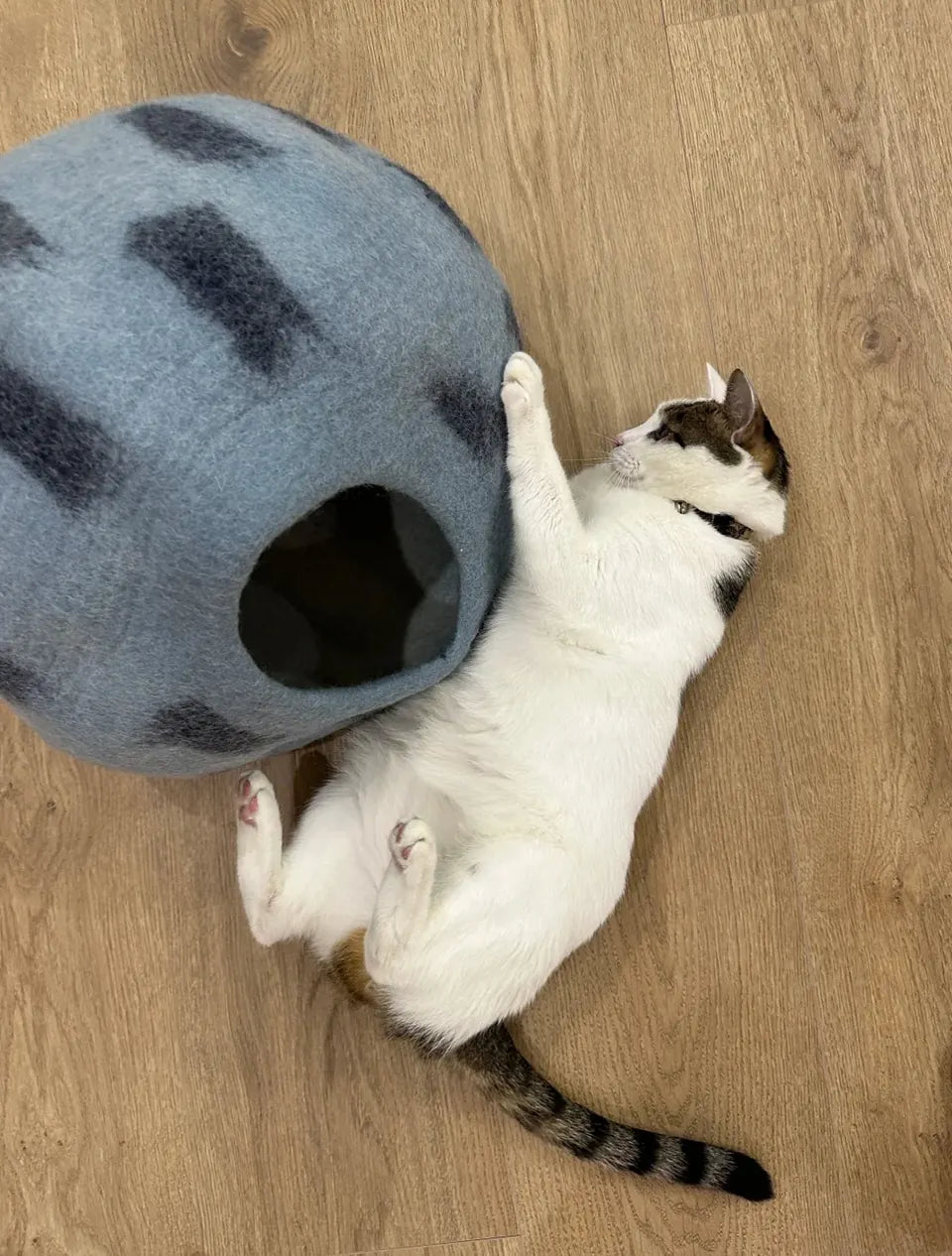 Niche Chat Feutre Laine Fait Main - Grotte Bleue Planète