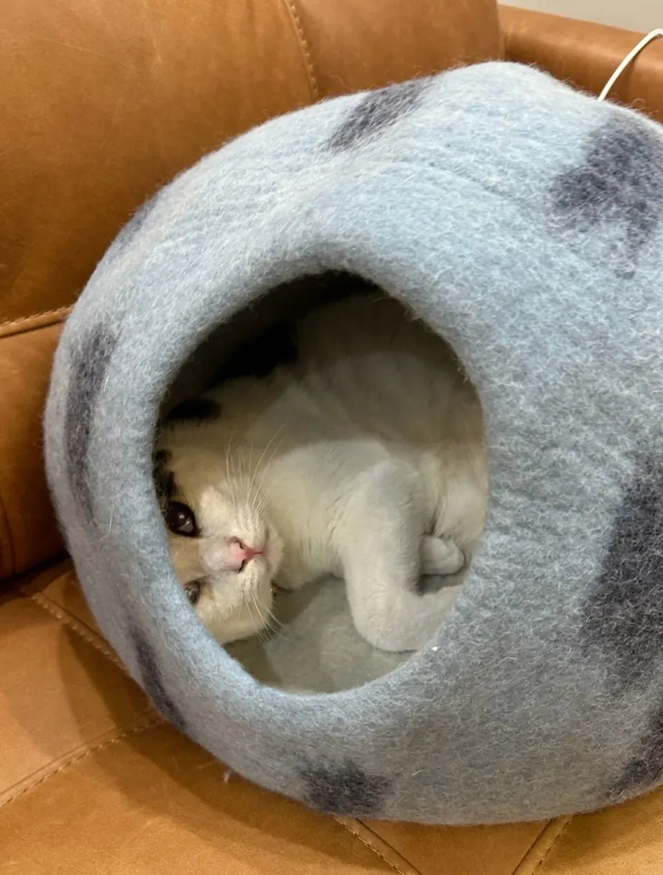 Niche Chat Feutre Laine Fait Main - Grotte Bleue Planète