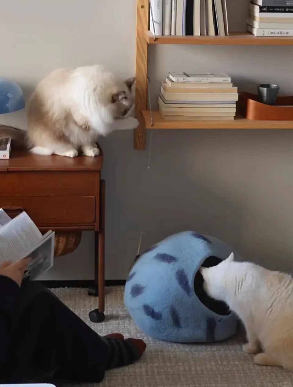 Niche Chat Feutre Laine Fait Main - Grotte Bleue Planète