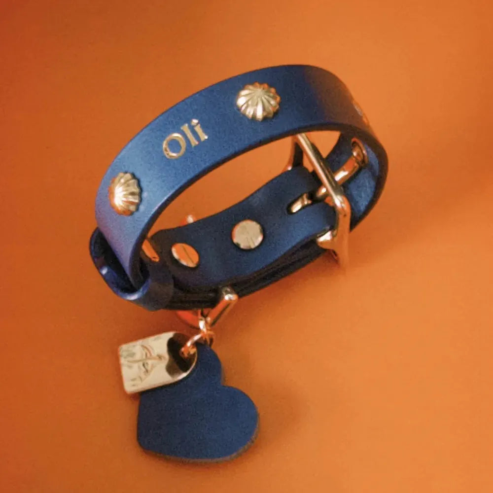 Collier Chien Personnalisé Cuir Haut de Gamme