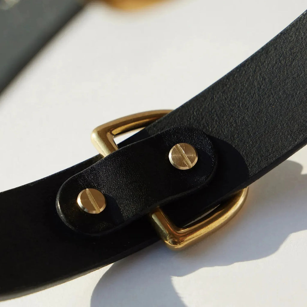 Zoom sur la texture du cuir noir du collier pour chien