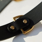 Zoom sur la texture du cuir noir du collier pour chien