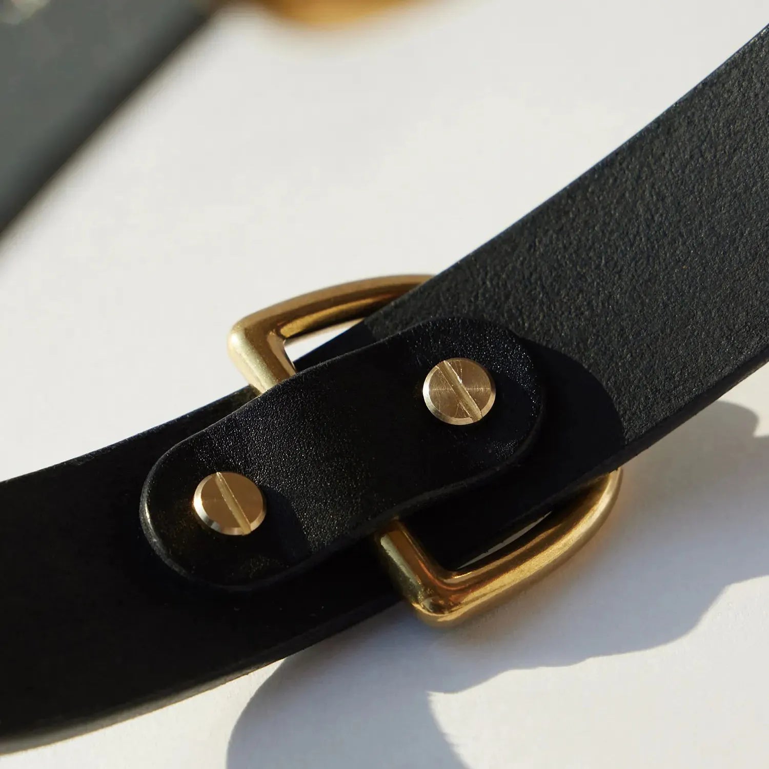 Zoom sur la texture du cuir noir du collier pour chien