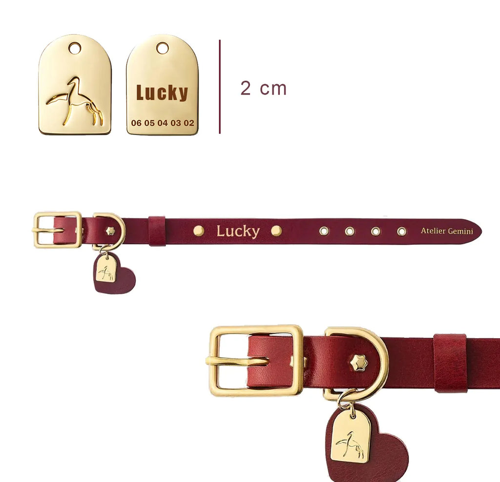 Détail d’un collier pour chien en cuir rouge fait main avec médaille personnalisée