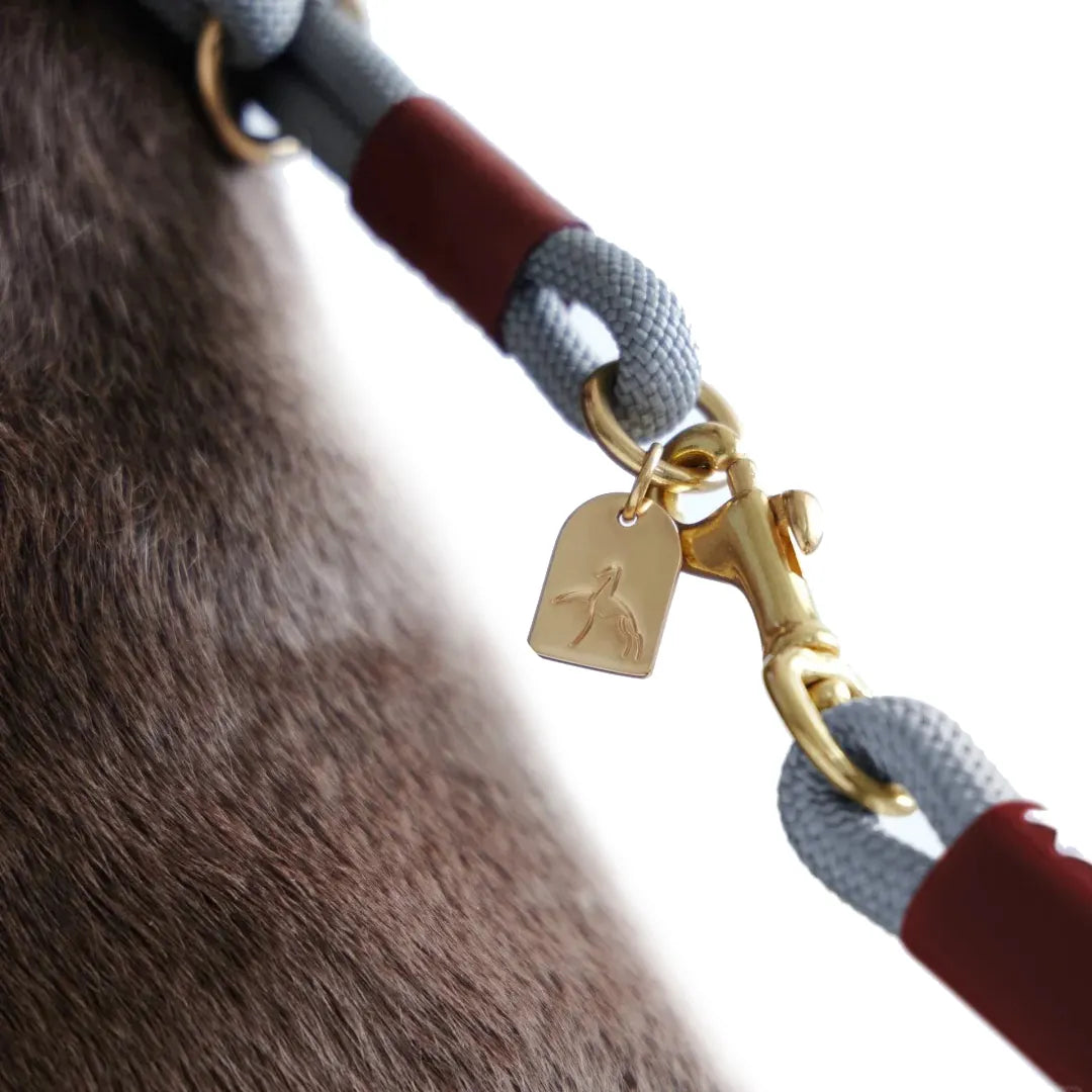 Détail fermoir ressort solide collier de chasse avec médaille rivetée laiton