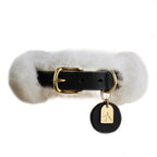 Collier chien noir en laine et cuir vue de face