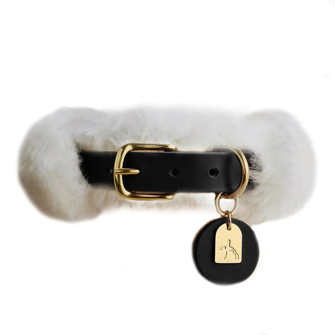Collier chien noir en laine et cuir vue de face