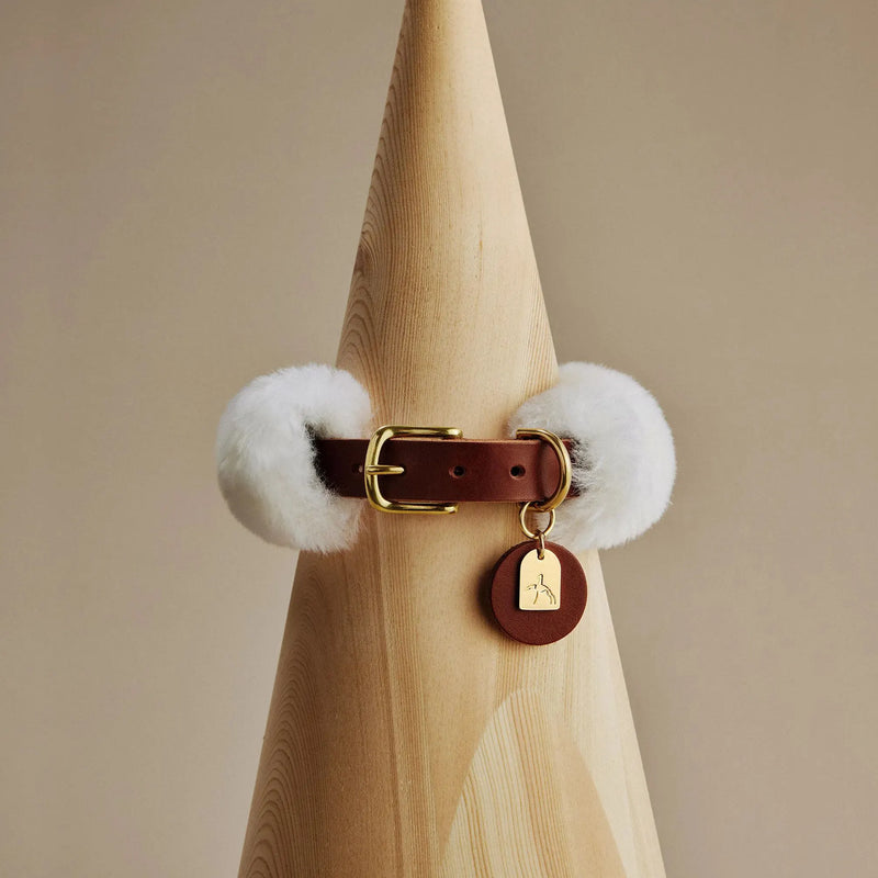 Collier en cuir marron avec laine de mouton et médaille personnalisée Roro