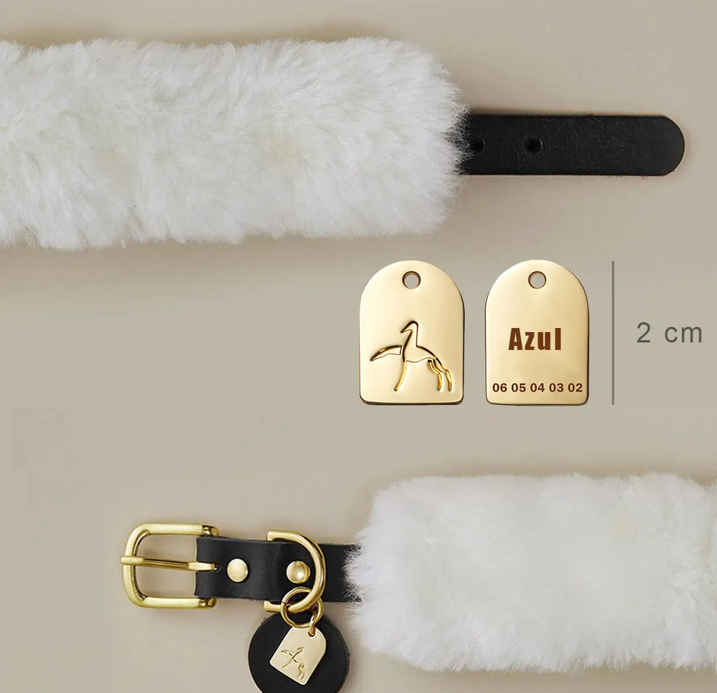 Collier chien noir en laine et cuir avec médaille dorée gravée
