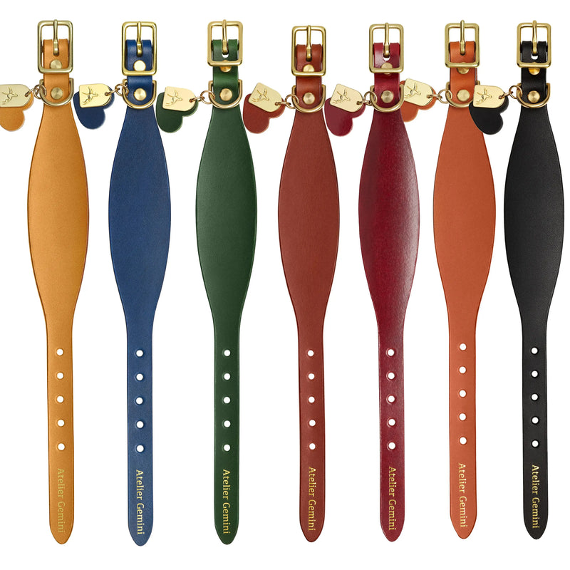 Colliers en cuir de différentes couleurs avec laisses assorties