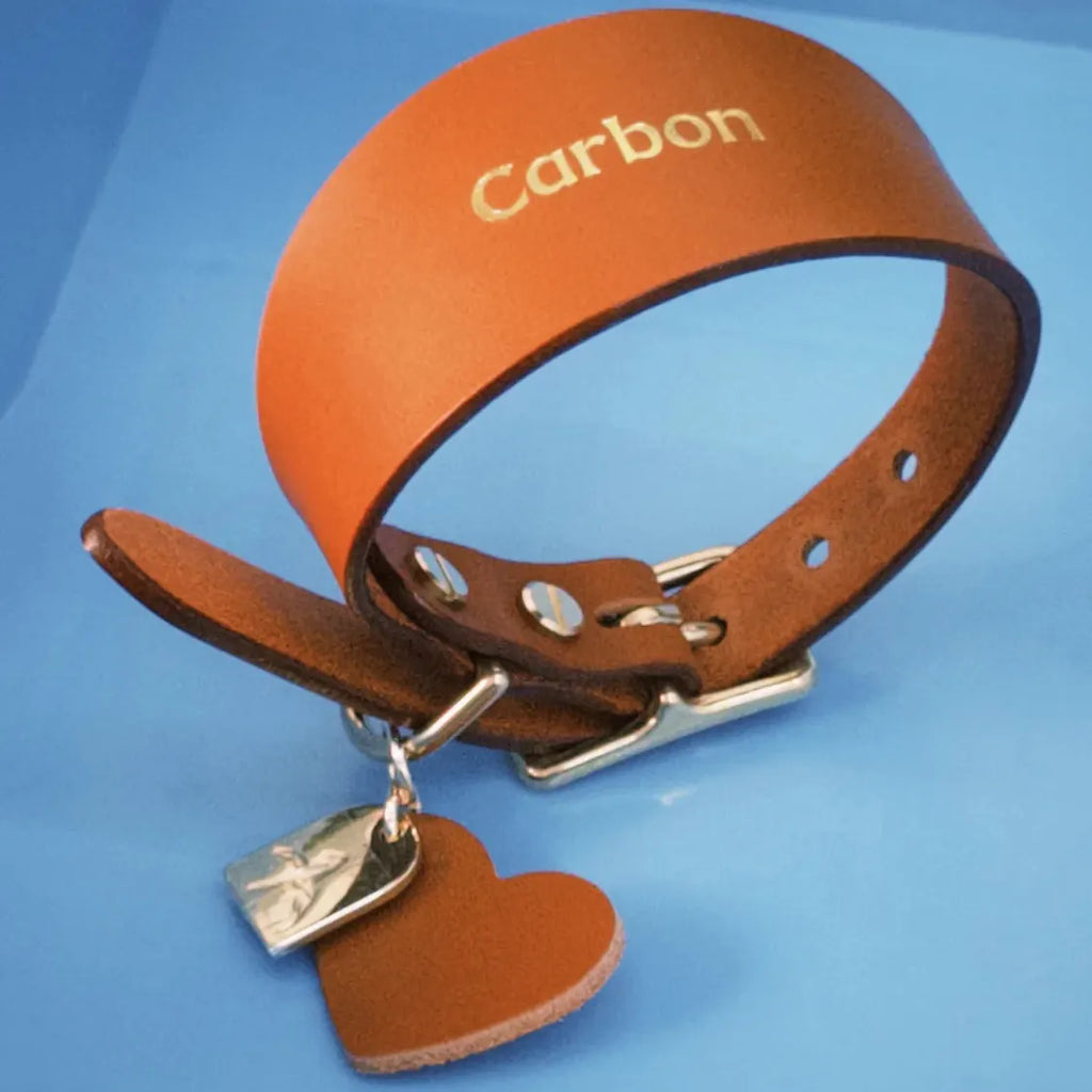 Collier orange en cuir fait main pour petit lévrier italien et whippet , luxe et élégant