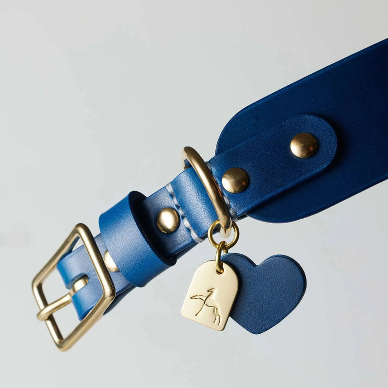 Collier en cuir premium bleu marine avec médaille dorée de luxe pour chien