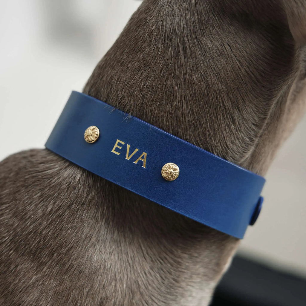 Collier Personnalisable pour Chien en Cuir Premium