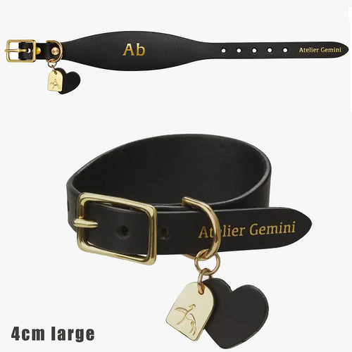Collier Cuir Chien Personnalisable Avec Médaille